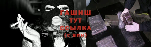 гидра Пересвет