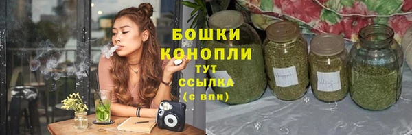 гидра Пересвет