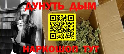 jwh Бийск