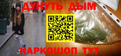 jwh Бийск