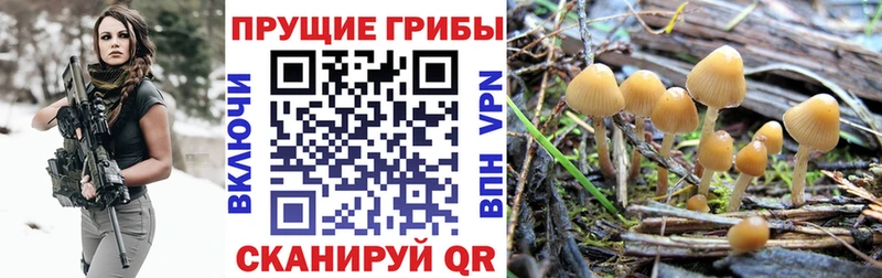 Псилоцибиновые грибы GOLDEN TEACHER  Корсаков 