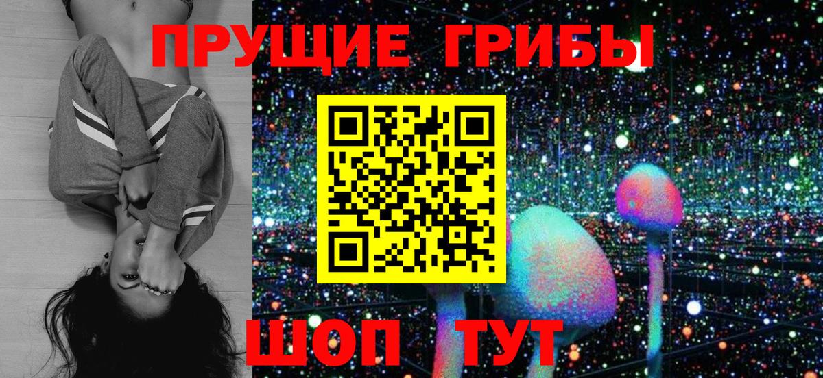 Корсаков  купить закладку  Вход с VPN  Псилоцибиновые грибы Psilocybine cubensis 